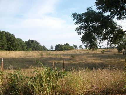 Property in McDonald County, Missouri