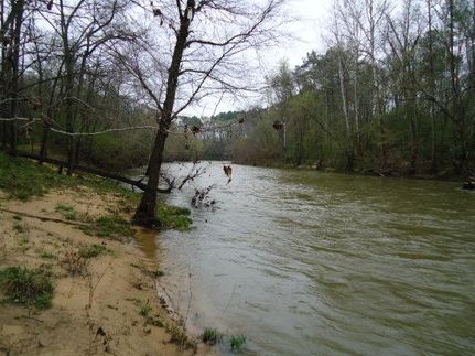 Property in Blount County, Alabama