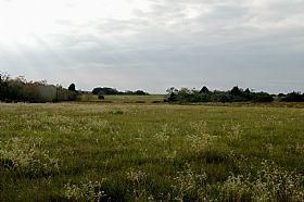 Property in Austin County, Texas