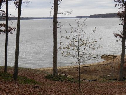 Property in Mecklenburg County, Virginia