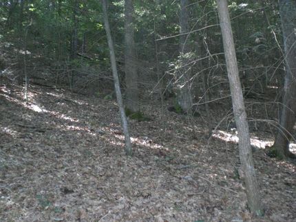Property in Hawkins County, Tennessee