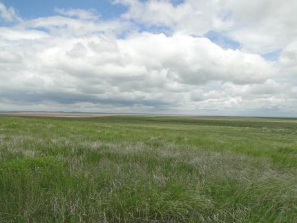 Property in Weld County, Colorado