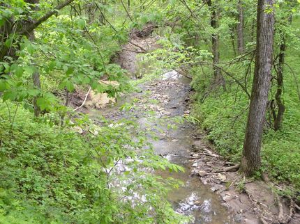 Property in Appanoose County, Iowa