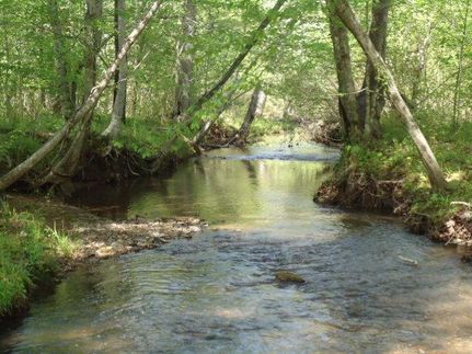 Property in Jefferson County, Alabama