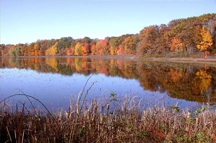 Property in Calhoun County, Michigan