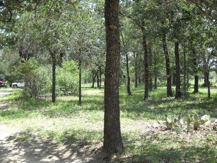 Property in Wilson County, Texas