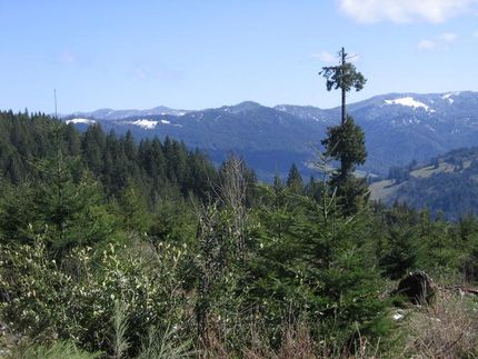 Property in Humboldt County, California