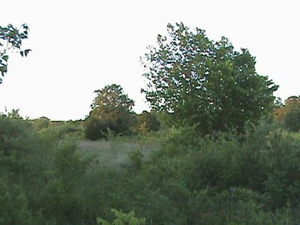Property in Parker County, Texas