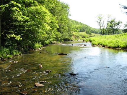 Property in Pocahontas County, West Virginia