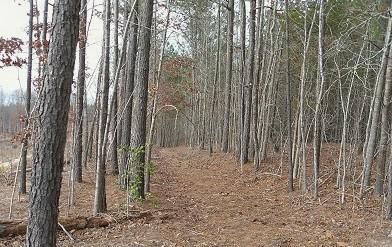 Property in Fairfield County, South Carolina