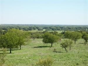 Property in Clay County, Texas