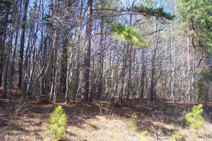 Property in Prince Edward County, Virginia