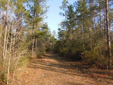 Property in Washington County, Alabama