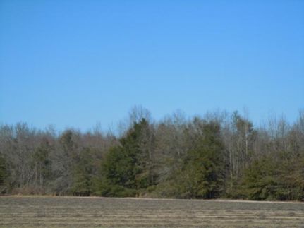 Property in Emanuel County, Georgia