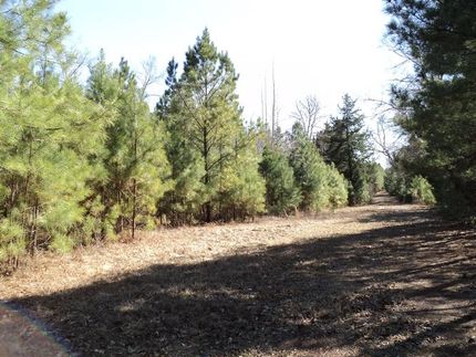 Property in Houston County, Texas