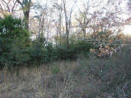 Property in Leon County, Texas