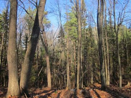 Property in Oneida County, Wisconsin