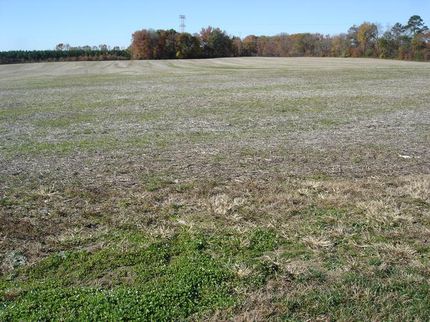 Property in Caroline County, Maryland