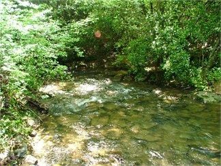 Property in Dade County, Georgia