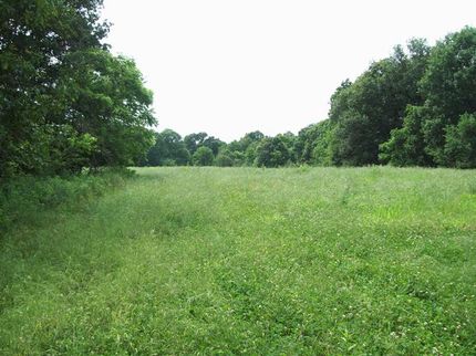 Property in Adams County, Illinois