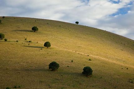 Property in Jeff Davis County, Texas