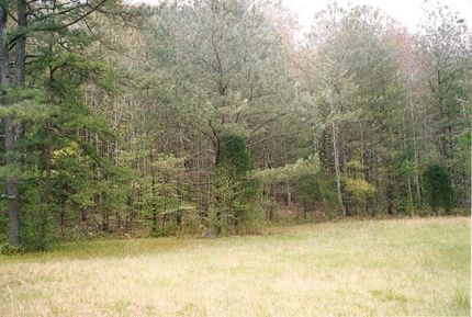 Property in DeKalb County, Alabama