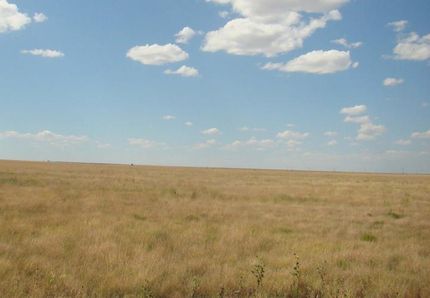 Property in Morton County, Kansas