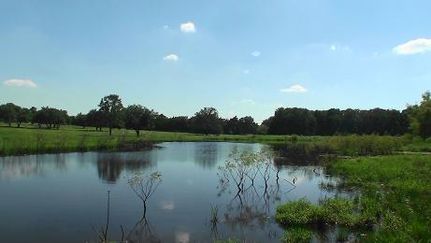 Property in Fayette County, Texas