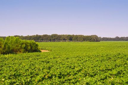 Property in Worth County, Georgia