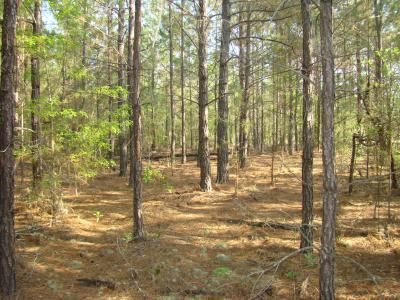 Property in Kershaw County, South Carolina