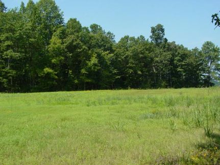 Property in Meriwether County, Georgia