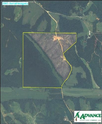 Property in Tippah County, Mississippi