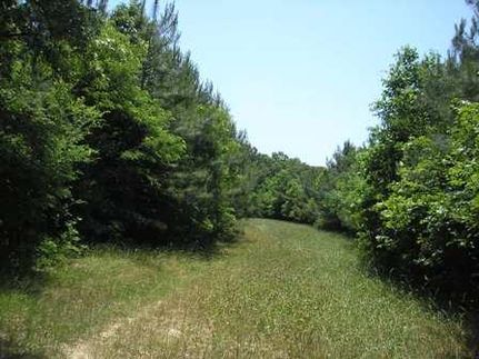 Property in Adams County, Mississippi