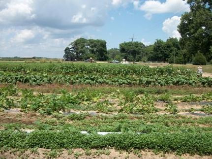 Property in Concordia Parish, Louisiana