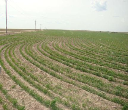 Property in Greeley County, Kansas