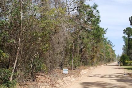 Property in Wayne County, Georgia