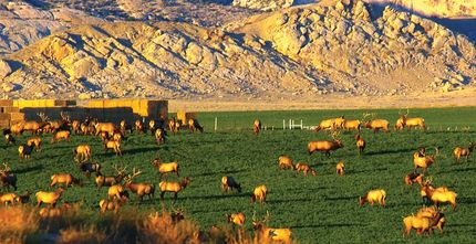 Property in Uintah County, Utah