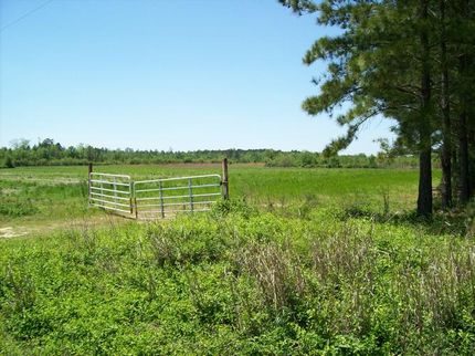 Property in Bladen County, North Carolina