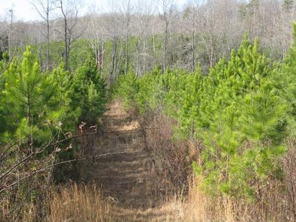 Property in Mecklenburg County, Virginia