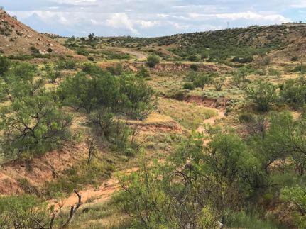 Property in Hutchinson County, Texas