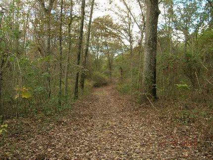 Property in Ben Hill County, Georgia