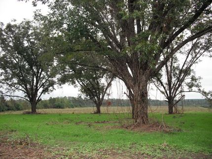 Property in Treutlen County, Georgia