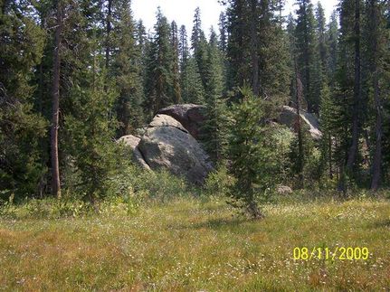 Property in Plumas County, California