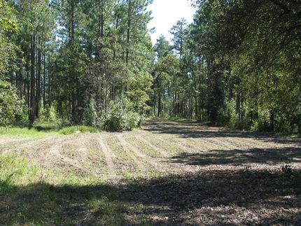 Property in Monroe County, Alabama