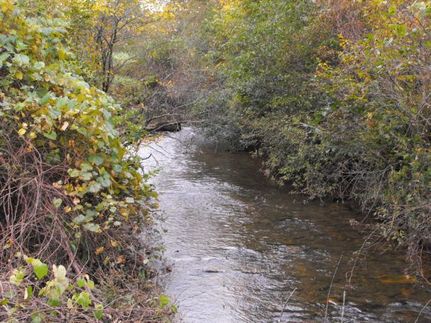 Property in Carroll County, Virginia