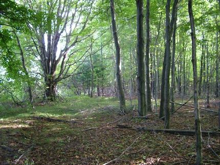 Property in Saint Clair County, Michigan