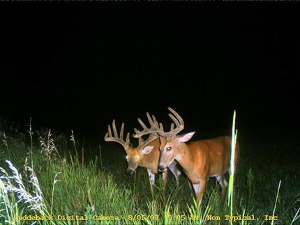 Property in Harrison County, Iowa