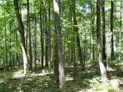 Property in Rutland County, Vermont