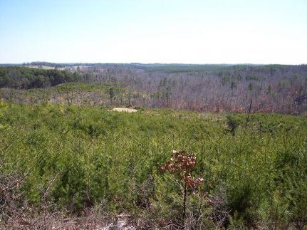 Property in Winston County, Alabama