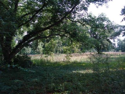 Property in Marlboro County, South Carolina